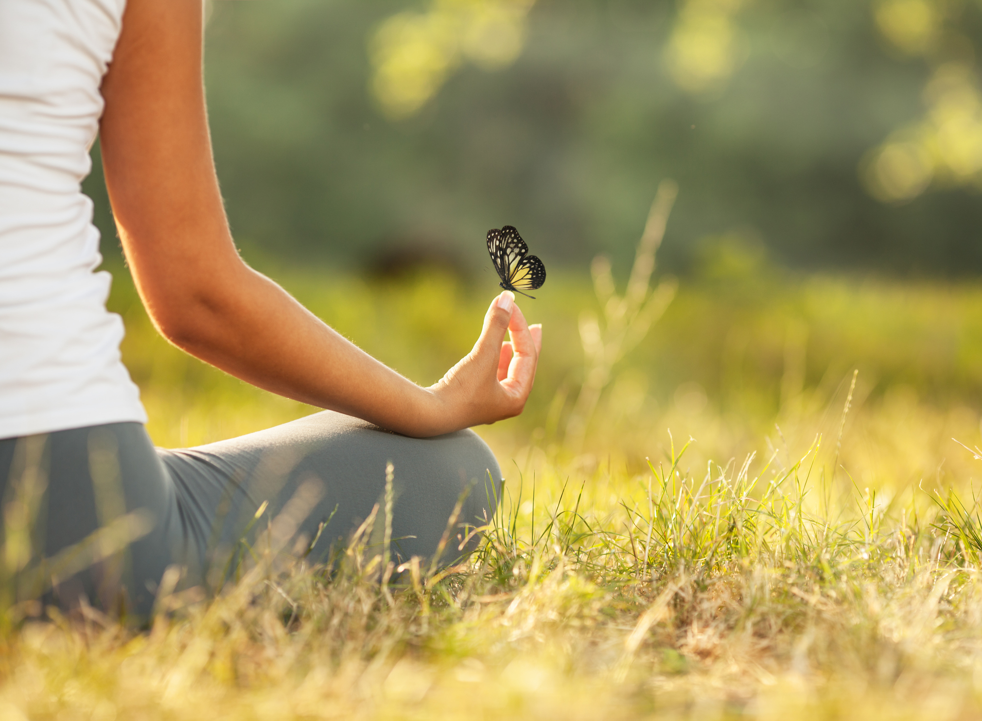 Meditator with Butterfly